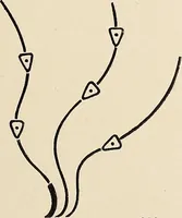 An illustration from Méthode de composition ornementale (1905)