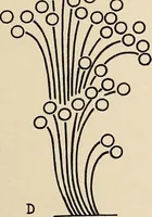 An illustration from Méthode de composition ornementale (1905)