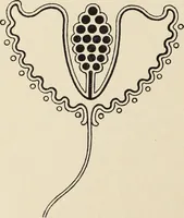 An illustration from Méthode de composition ornementale (1905)