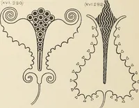 An illustration from Méthode de composition ornementale (1905)
