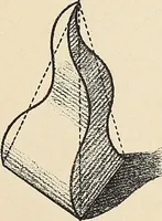 An illustration from Méthode de composition ornementale (1905)
