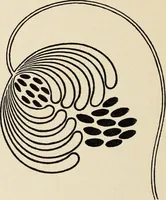 An illustration from Méthode de composition ornementale (1905)