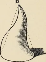 An illustration from Méthode de composition ornementale (1905)