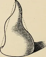 An illustration from Méthode de composition ornementale (1905)
