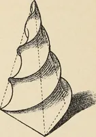 An illustration from Méthode de composition ornementale (1905)