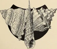 An illustration from Méthode de composition ornementale (1905)