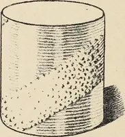 An illustration from Méthode de composition ornementale (1905)