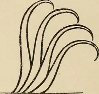 An illustration from Méthode de composition ornementale (1905)