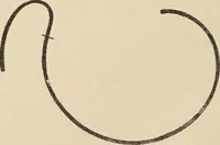 An illustration from Méthode de composition ornementale (1905)