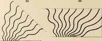 An illustration from Méthode de composition ornementale (1905)