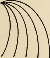 An illustration from Méthode de composition ornementale (1905)
