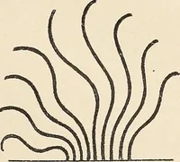 An illustration from Méthode de composition ornementale (1905)