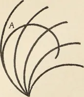 An illustration from Méthode de composition ornementale (1905)