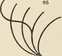 An illustration from Méthode de composition ornementale (1905)