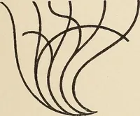 An illustration from Méthode de composition ornementale (1905)