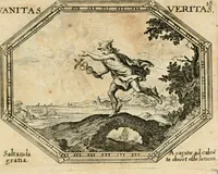 Picture 18 of 51 from Mundi lapis lydius, siue, Emblemata moralia nobilissimi viri D. Antonii A. Burgundia ... : in quibus vanitas per veritatem falsi accusatur & conuincitur (1665), leaf 46