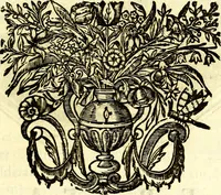 Picture 65 of 71 from Mundi lapis lydius, siue, Vanitas per veritat falsi accusata & conuicta (1639), leaf 232