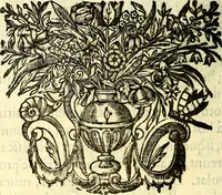 Picture 69 of 71 from Mundi lapis lydius, siue, Vanitas per veritat falsi accusata & conuicta (1639), leaf 243