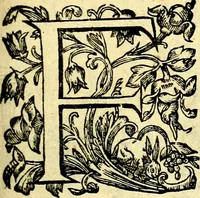 Picture 1 of 71 from Mundi lapis lydius, siue, Vanitas per veritat falsi accusata & conuicta (1639), leaf 8