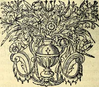 Picture 36 of 74 from Mundi lapis lydius, siue, Vanitas per veritat falsi accusata & conuicta (1639), leaf 119
