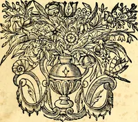 Picture 5 of 74 from Mundi lapis lydius, siue, Vanitas per veritat falsi accusata & conuicta (1639), leaf 28