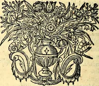 An illustration from Mundi lapis lydius, siue, Vanitas per veritat falsi accusata & conuicta (1639)