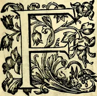 An illustration from Mundi lapis lydius, siue, Vanitas per veritat falsi accusata & conuicta (1639)