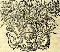 Picture 33 of 75 from Mundi lapis lydius, siue, Vanitas per veritat falsi accusata & conuicta (1639), leaf 121