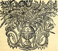 Picture 35 of 75 from Mundi lapis lydius, siue, Vanitas per veritat falsi accusata & conuicta (1639), leaf 126