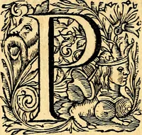 An illustration from Mundi lapis lydius, siue, Vanitas per veritat falsi accusata & conuicta (1639)