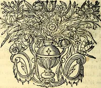 Picture 57 of 75 from Mundi lapis lydius, siue, Vanitas per veritat falsi accusata & conuicta (1639), leaf 207