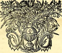An illustration from Mundi lapis lydius, siue, Vanitas per veritat falsi accusata & conuicta (1639)