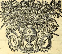 Picture 75 of 75 from Mundi lapis lydius, siue, Vanitas per veritat falsi accusata & conuicta (1639), leaf 297