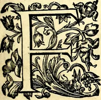 Picture 6 of 75 from Mundi lapis lydius, siue, Vanitas per veritat falsi accusata & conuicta (1639), leaf 34