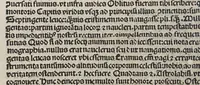 An illustration from Mundus nouus : De natura et moribus [et] ceteris id g[e]n[er]is ge[n]tis que i[n] nouo mu[n]do opera [et] impe[n]sis serenissimi Portugallie regis superioribus a[n]nis inuento. (1505)