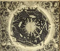 An illustration from Mundus Subterraneus, in XII libros digestus; quo divinum subterrestris mundi opificium, mira ergasteriorum naturæ in eo distributio, verbo pantámorphou Protei regnum, universæ denique naturæ majestas (1665)