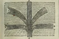 An illustration from Mundus Subterraneus, in XII libros digestus; quo divinum subterrestris mundi opificium, mira ergasteriorum naturæ in eo distributio, verbo pantámorphou Protei regnum, universæ denique naturæ majestas (1665)