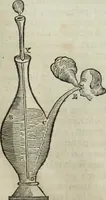 Picture 143 of 373 from Mundus Subterraneus, in XII libros digestus; quo divinum subterrestris mundi opificium, mira ergasteriorum naturæ in eo distributio, verbo pantámorphou Protei regnum, universæ denique naturæ majestas (1665), leaf 276