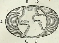 Picture 154 of 373 from Mundus Subterraneus, in XII libros digestus; quo divinum subterrestris mundi opificium, mira ergasteriorum naturæ in eo distributio, verbo pantámorphou Protei regnum, universæ denique naturæ majestas (1665), leaf 301