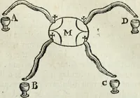 Picture 181 of 373 from Mundus Subterraneus, in XII libros digestus; quo divinum subterrestris mundi opificium, mira ergasteriorum naturæ in eo distributio, verbo pantámorphou Protei regnum, universæ denique naturæ majestas (1665), leaf 388