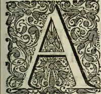 An illustration from Mundus Subterraneus, in XII libros digestus; quo divinum subterrestris mundi opificium, mira ergasteriorum naturæ in eo distributio, verbo pantámorphou Protei regnum, universæ denique naturæ majestas (1665)