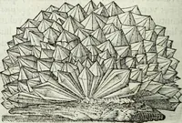 An illustration from Mundus Subterraneus, in XII libros digestus; quo divinum subterrestris mundi opificium, mira ergasteriorum naturæ in eo distributio, verbo pantámorphou Protei regnum, universæ denique naturæ majestas (1665)