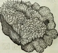 An illustration from Mundus Subterraneus, in XII libros digestus; quo divinum subterrestris mundi opificium, mira ergasteriorum naturæ in eo distributio, verbo pantámorphou Protei regnum, universæ denique naturæ majestas (1665)