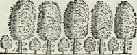 Picture 204 of 373 from Mundus Subterraneus, in XII libros digestus; quo divinum subterrestris mundi opificium, mira ergasteriorum naturæ in eo distributio, verbo pantámorphou Protei regnum, universæ denique naturæ majestas (1665), leaf 461