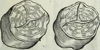 An illustration from Mundus Subterraneus, in XII libros digestus; quo divinum subterrestris mundi opificium, mira ergasteriorum naturæ in eo distributio, verbo pantámorphou Protei regnum, universæ denique naturæ majestas (1665)