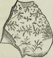 An illustration from Mundus Subterraneus, in XII libros digestus; quo divinum subterrestris mundi opificium, mira ergasteriorum naturæ in eo distributio, verbo pantámorphou Protei regnum, universæ denique naturæ majestas (1665)