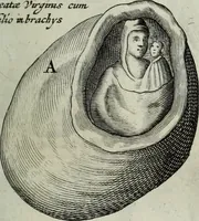 Picture 214 of 373 from Mundus Subterraneus, in XII libros digestus; quo divinum subterrestris mundi opificium, mira ergasteriorum naturæ in eo distributio, verbo pantámorphou Protei regnum, universæ denique naturæ majestas (1665), leaf 466