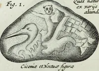 Picture 216 of 373 from Mundus Subterraneus, in XII libros digestus; quo divinum subterrestris mundi opificium, mira ergasteriorum naturæ in eo distributio, verbo pantámorphou Protei regnum, universæ denique naturæ majestas (1665), leaf 467