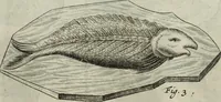 An illustration from Mundus Subterraneus, in XII libros digestus; quo divinum subterrestris mundi opificium, mira ergasteriorum naturæ in eo distributio, verbo pantámorphou Protei regnum, universæ denique naturæ majestas (1665)