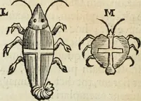 An illustration from Mundus Subterraneus, in XII libros digestus; quo divinum subterrestris mundi opificium, mira ergasteriorum naturæ in eo distributio, verbo pantámorphou Protei regnum, universæ denique naturæ majestas (1665)